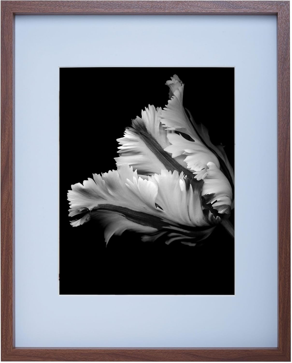 Mikasa Wood Gallery – Marco de pared de 16 x 20 pulgadas, mate a 11 x 14, 17 x 1.57 x 21 pulgadas, nogal