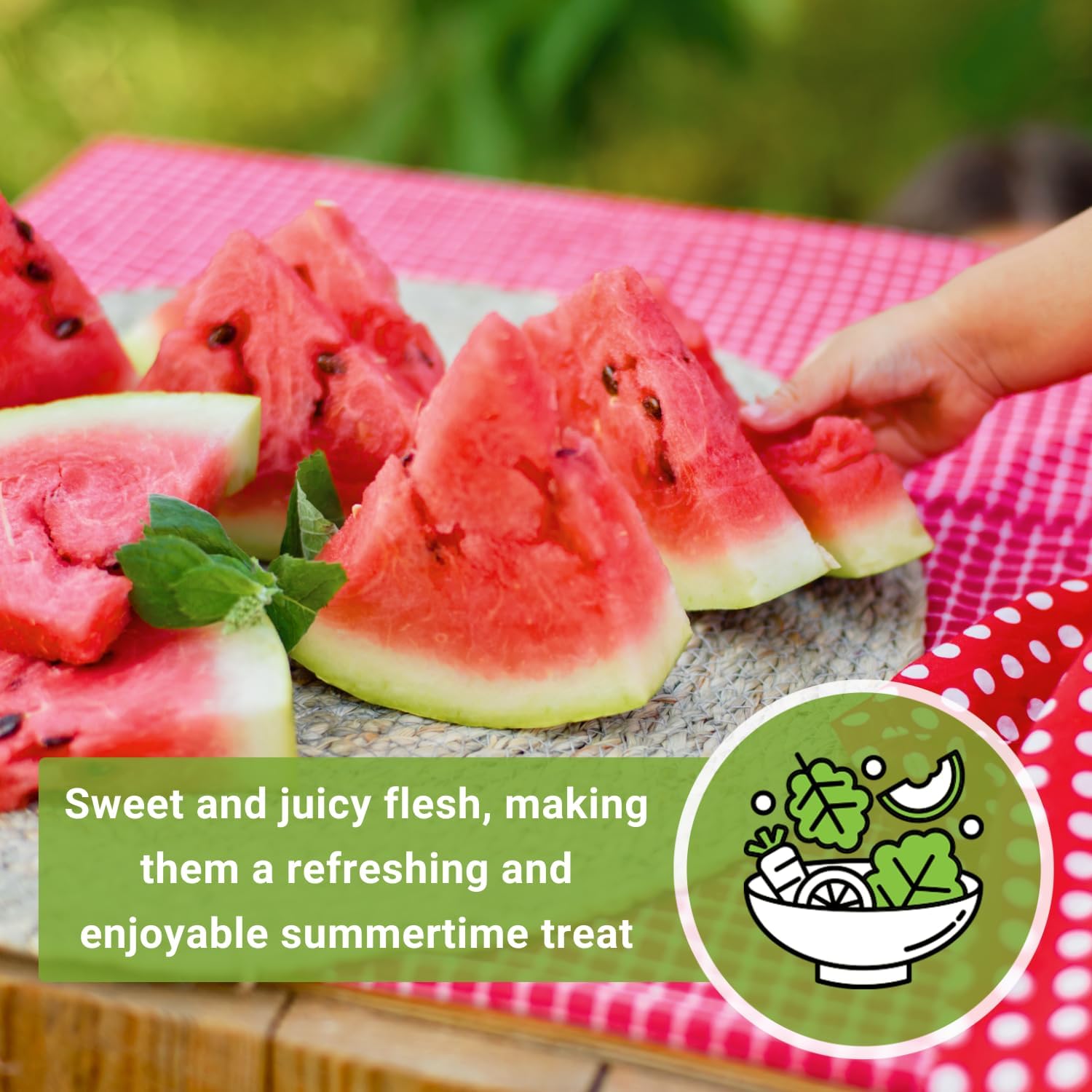 Sow Right Seeds – Semillas de sandía dulce carmesí para plantar – Paquete de reliquia sin OMG con instrucciones para plantar un huerto casero –