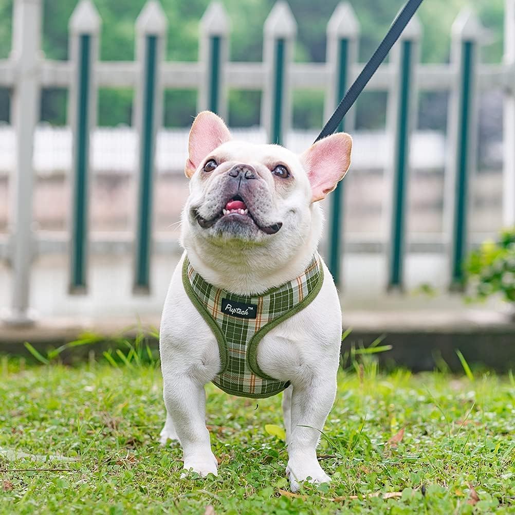 PUPTECK Juego de arnés y correa de malla suave para perro, cachorro y gato, cómodo chaleco acolchado sin tirones, verde oliva, S