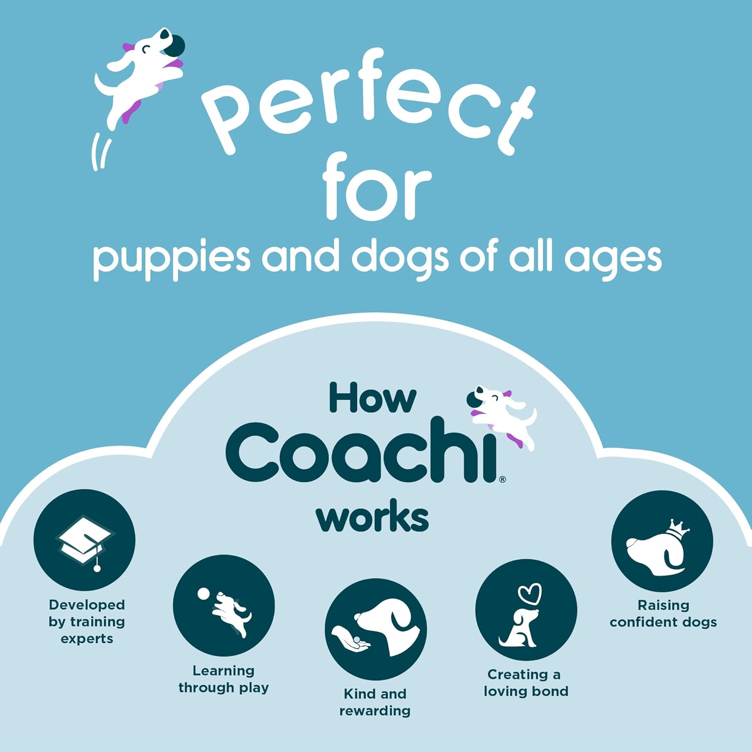 Coachi Chase & Treat – Un divertido juguete de enriquecimiento para perros, rellena con golosinas para jugar interactivo. Bueno para motivar,
