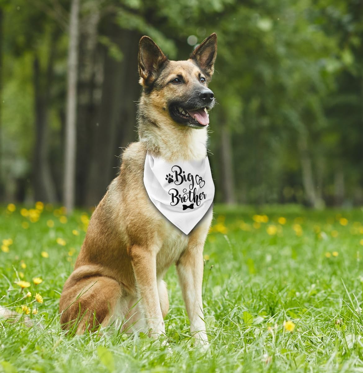 Bandana para perro, pañuelo para perro de hermano mayor, bufanda para perro, impresión blanca, accesorios para bufanda para perro, bufanda para