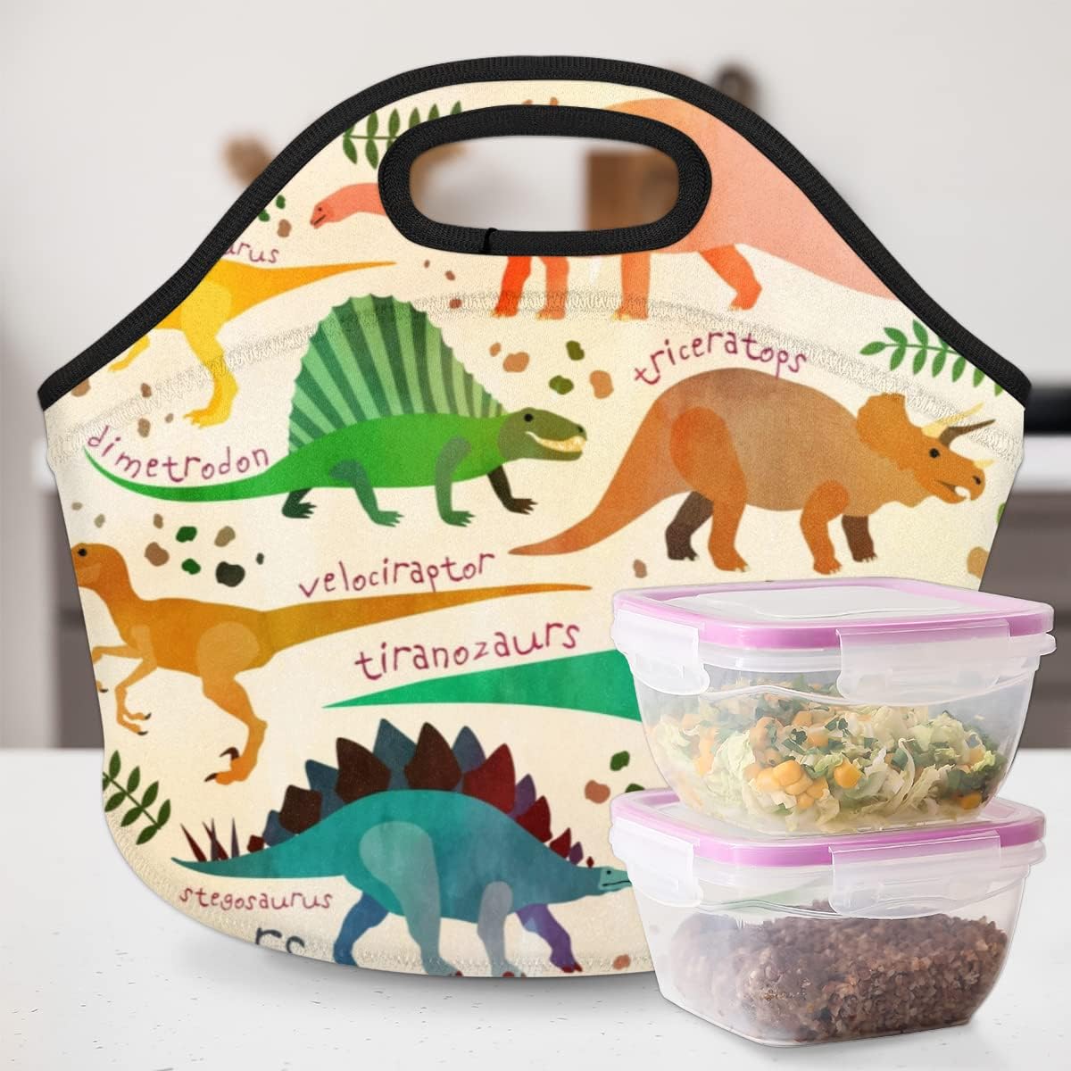 Bolsas de almuerzo de neopreno con diseño de dinosaurio de animales, pequeña, aislada, para niños y niñas, suave, ligera, de caricaturas, de