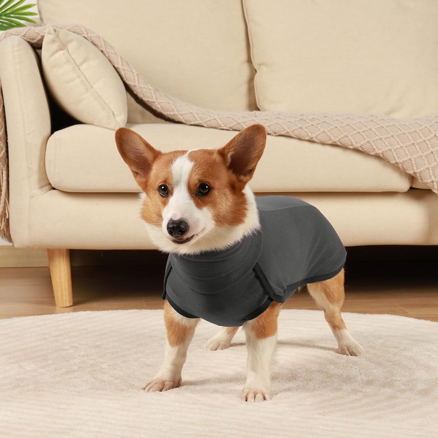 ROZKITCH Abrigo de invierno para perro, pijama suave para mascotas, resistente al viento, chaqueta cálida para clima frío, chaleco acogedor, ropa