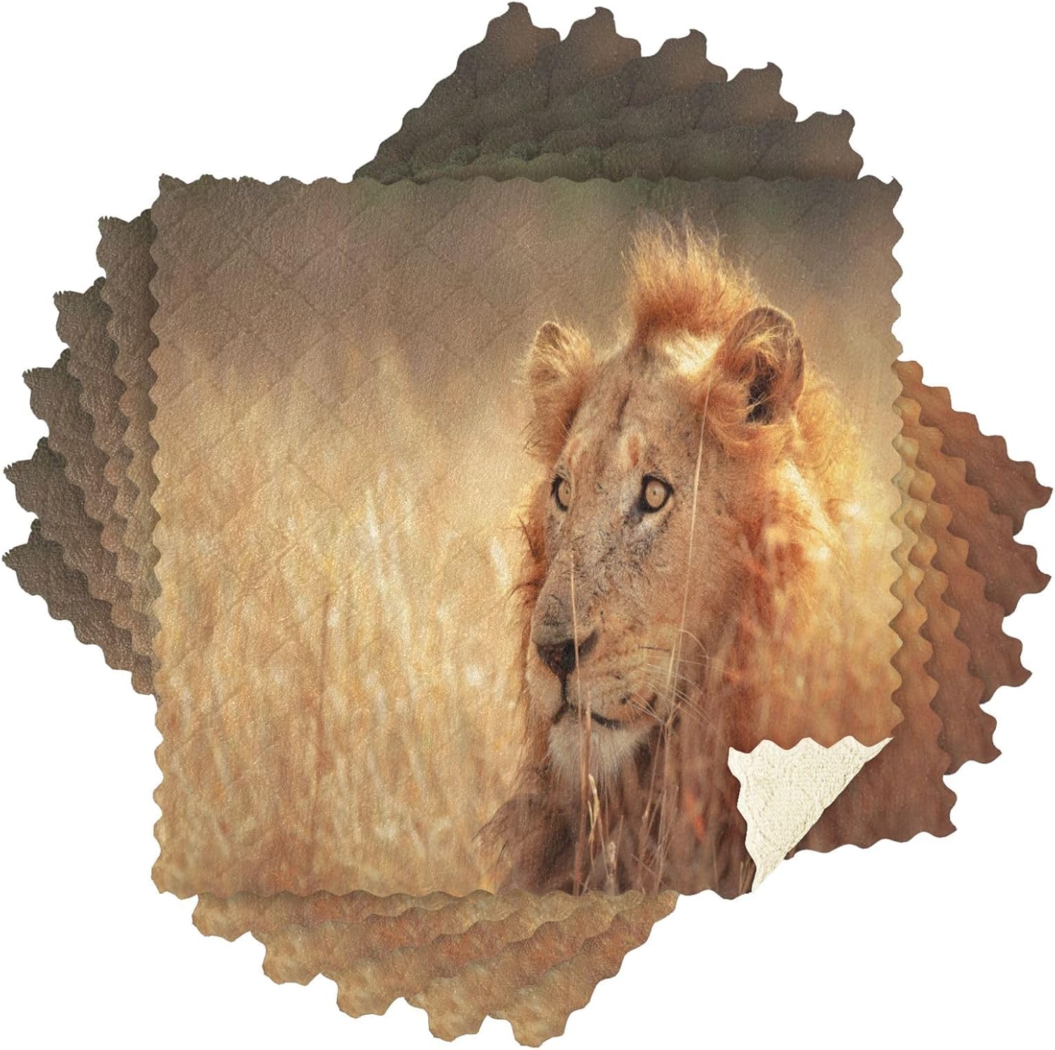 ALAZA South Africa Lion – Juego de 6 paños de cocina, paños de cocina lavables de secado rápido, paño de limpieza reutilizable, 11 x 11 pulgadas