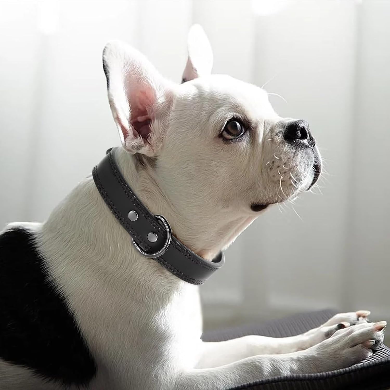 Didog Collar de perro de cuero genuino, duradero y suave, resistente con anillos dobles en D, collar de perro negro ajustable con hebilla de metal