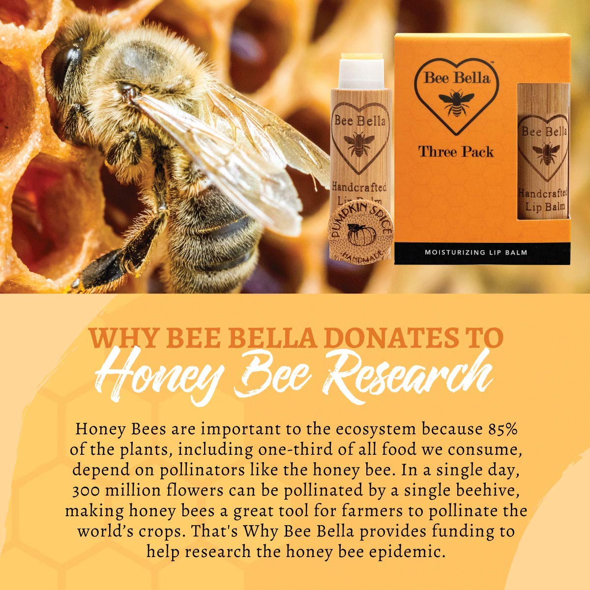Bee Bella Bálsamo labial de especias de calabaza (paquete de 3) con cera de abejas, aceite de coco, aceite de jojoba, aceite de vitamina E, aceite