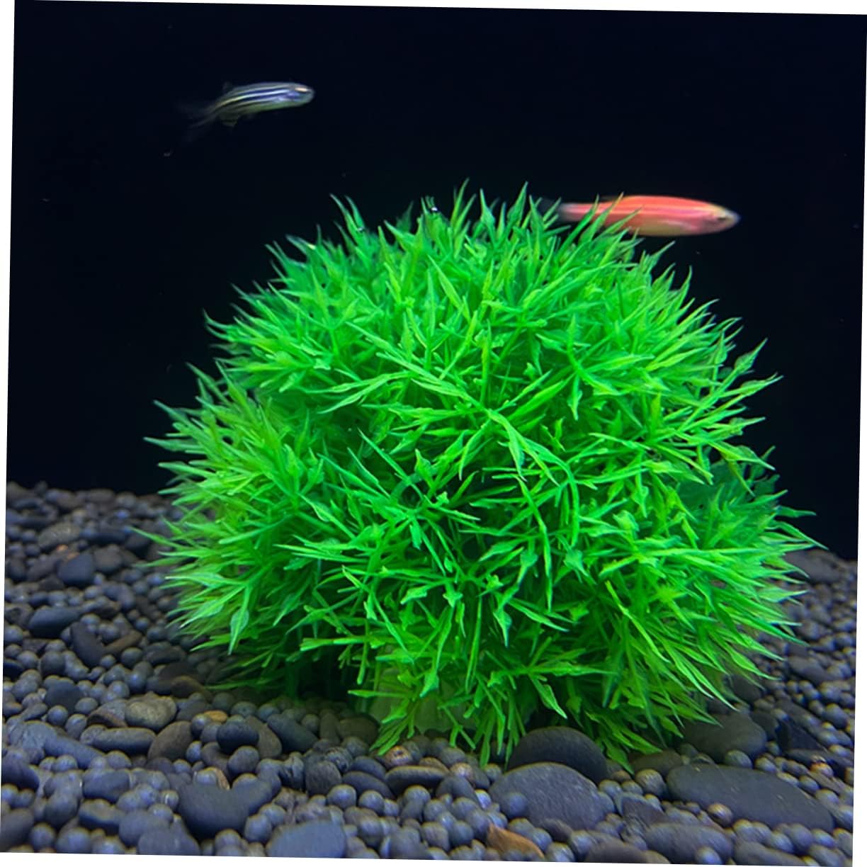 Peces de plantas acuáticas s 6 piezas de bola de hierba artificial verde plástico acuario decorar decoración del hogar planta sintética acuario bola