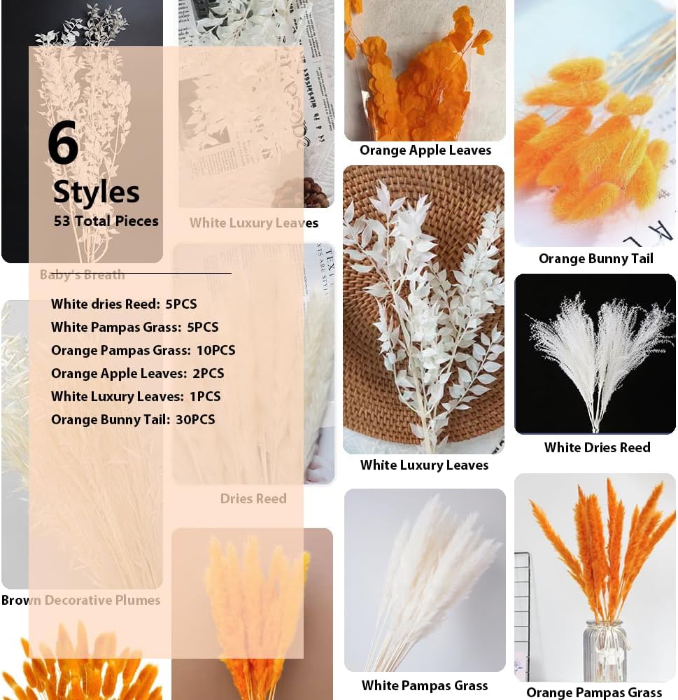 Ramo de hierba de pampa seca natural, ramo bohemio para decoración del hogar, flores secas de frragmitas, flores secas de 17 pulgadas para