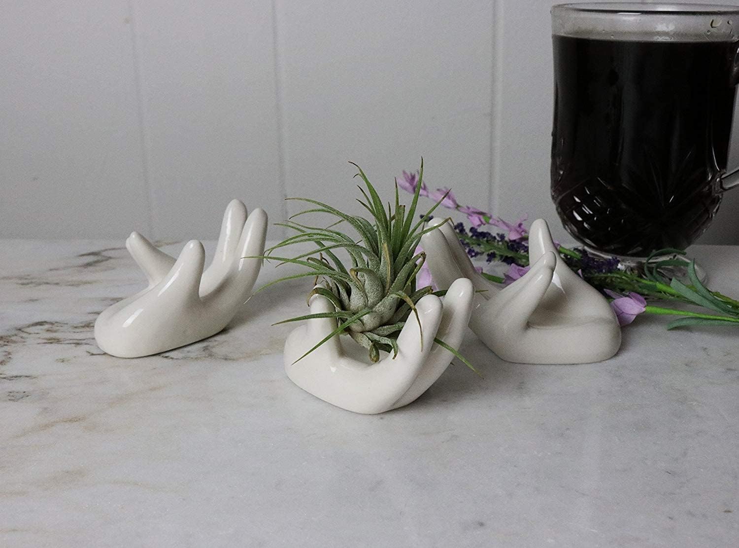 Soporte para plantas de aire, bonito recipiente de cerámica para plantas de aire Tillandsia para suculentas, decoración del hogar para estante de