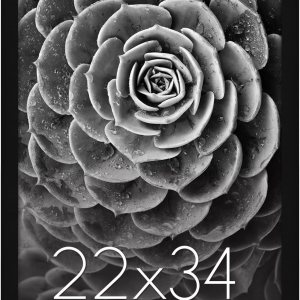 Americanflat – Marco para póster hecho de madera compuesta con plexiglás pulido, posición horizontal y vertical para pared, incluye herrajes para Americanflat – Marco para póster hecho de madera compuesta con plexiglás pulido, posición horizontal y vertical para pared, incluye herrajes para