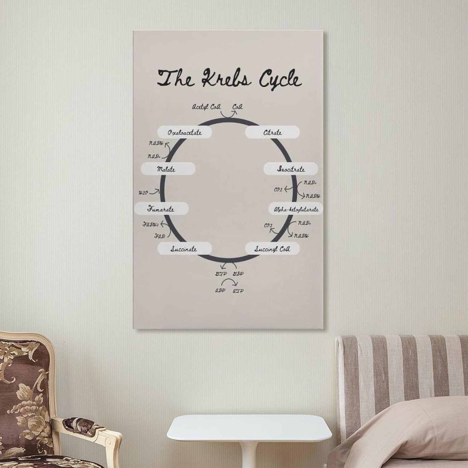 Krebs Cycle – Póster de biología del ciclo TCA de la nutrición, póster educativo, arte de pared, lienzo, decoración de pared, decoración del hogar,
