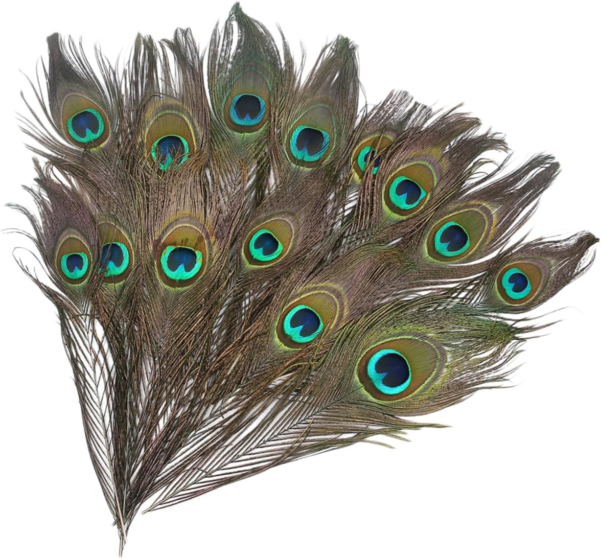 EXCEART 50 piezas de plumas naturales, plumas decorativas, plumas de cola de pavo real, arreglo floral