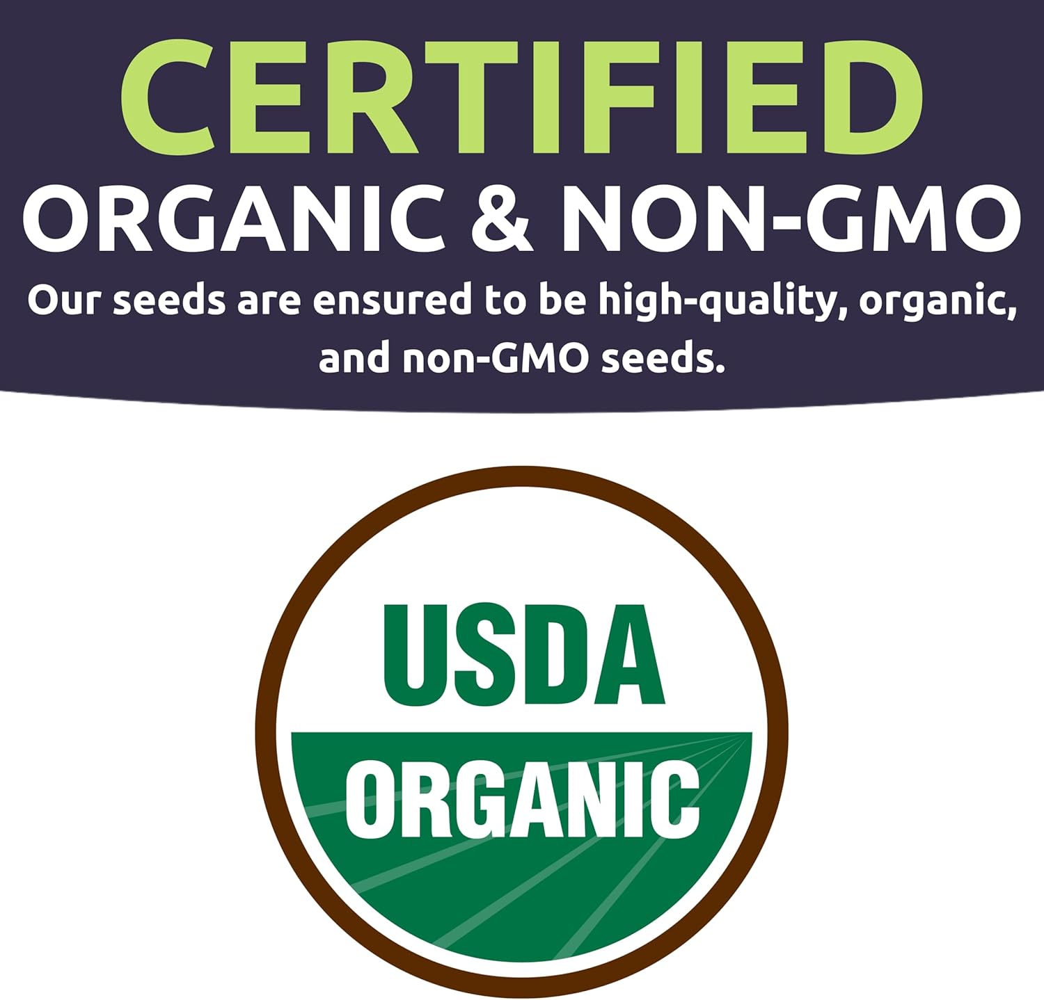 Semillas de perejil orgánico ‘Italian Giant’ – Paquete de semillas de más de 350 semillas de polinización abierta sin OMG – Sweet Yards Seed Co.