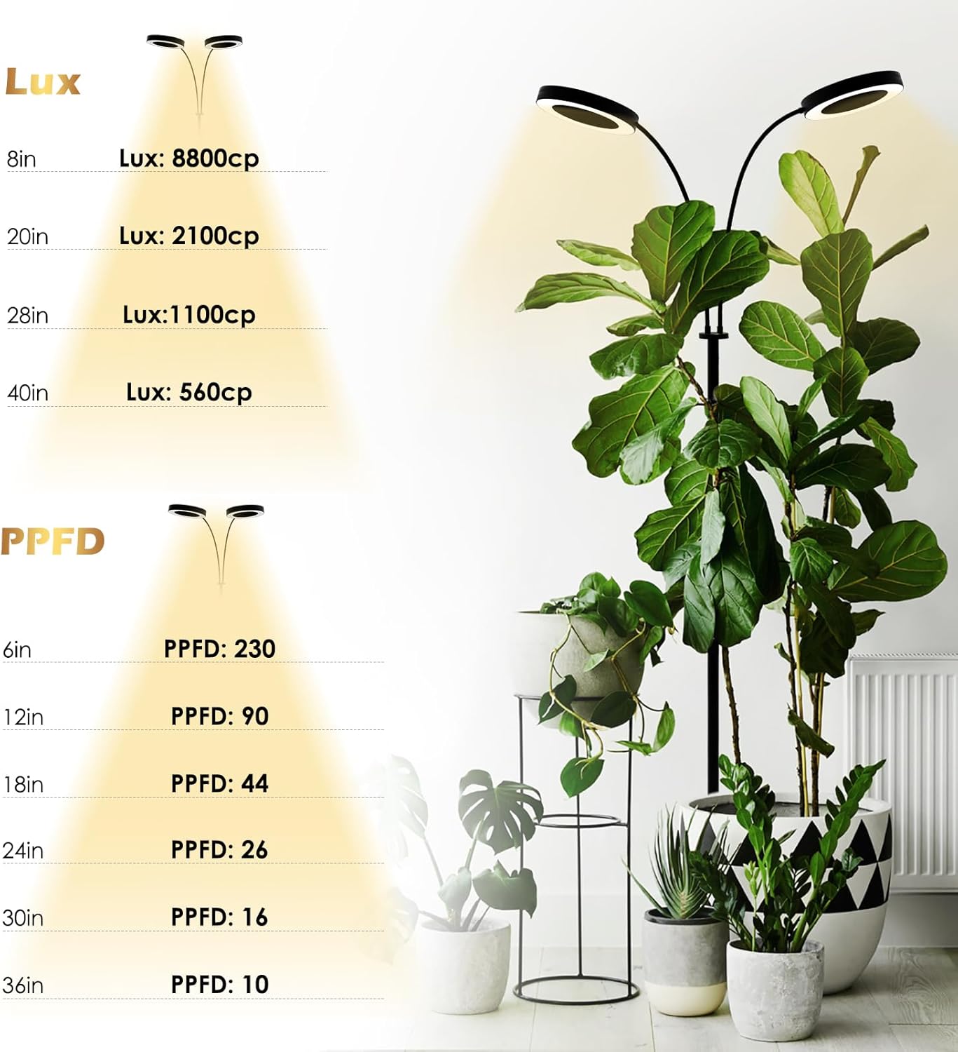 GLOWRIUM Luz de cultivo con soporte, luz LED de 2 cabezales para plantas de interior, lámpara de crecimiento de espectro completo, temporizador de