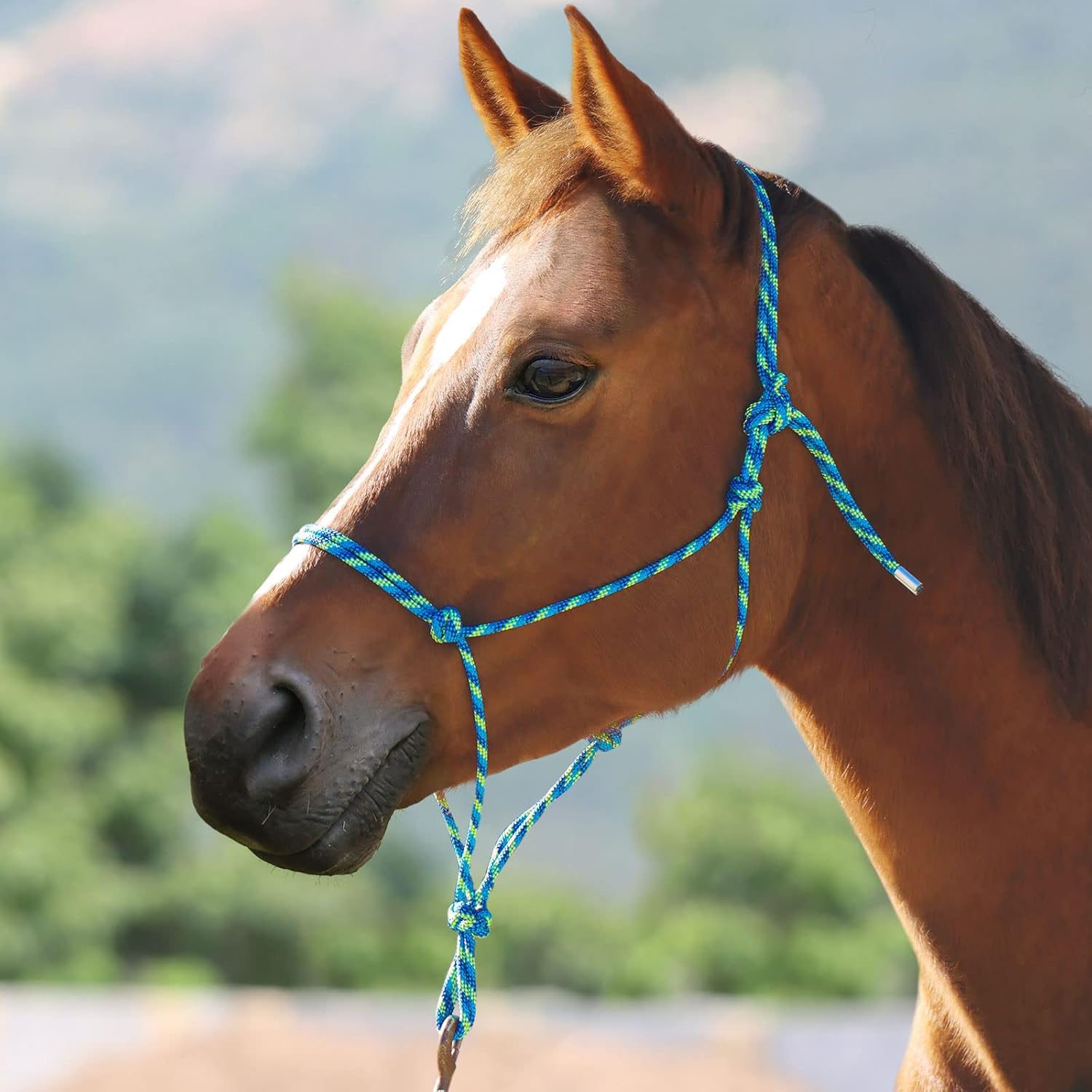 Harrison Howard Cabestro de cuerda para caballos súper resistente cuerda de caballo con 2 nudos de 14 pulgadas de cordón halter rígido estándar azul