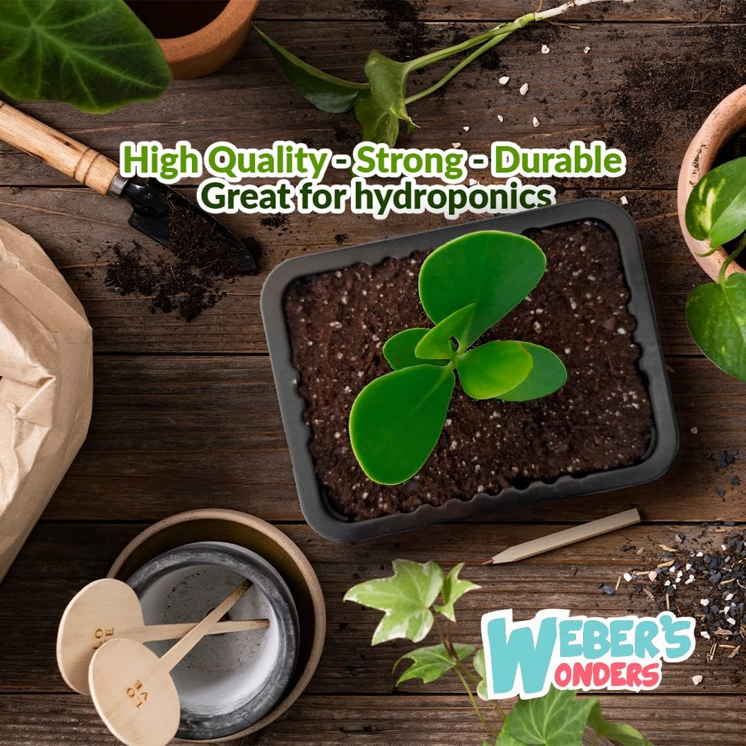 Weber’s Wonders Paquete de 10 bandejas de cultivo de plantas, sin agujeros de drenaje, bandejas perfectas para semillas de jardín, bandejas de