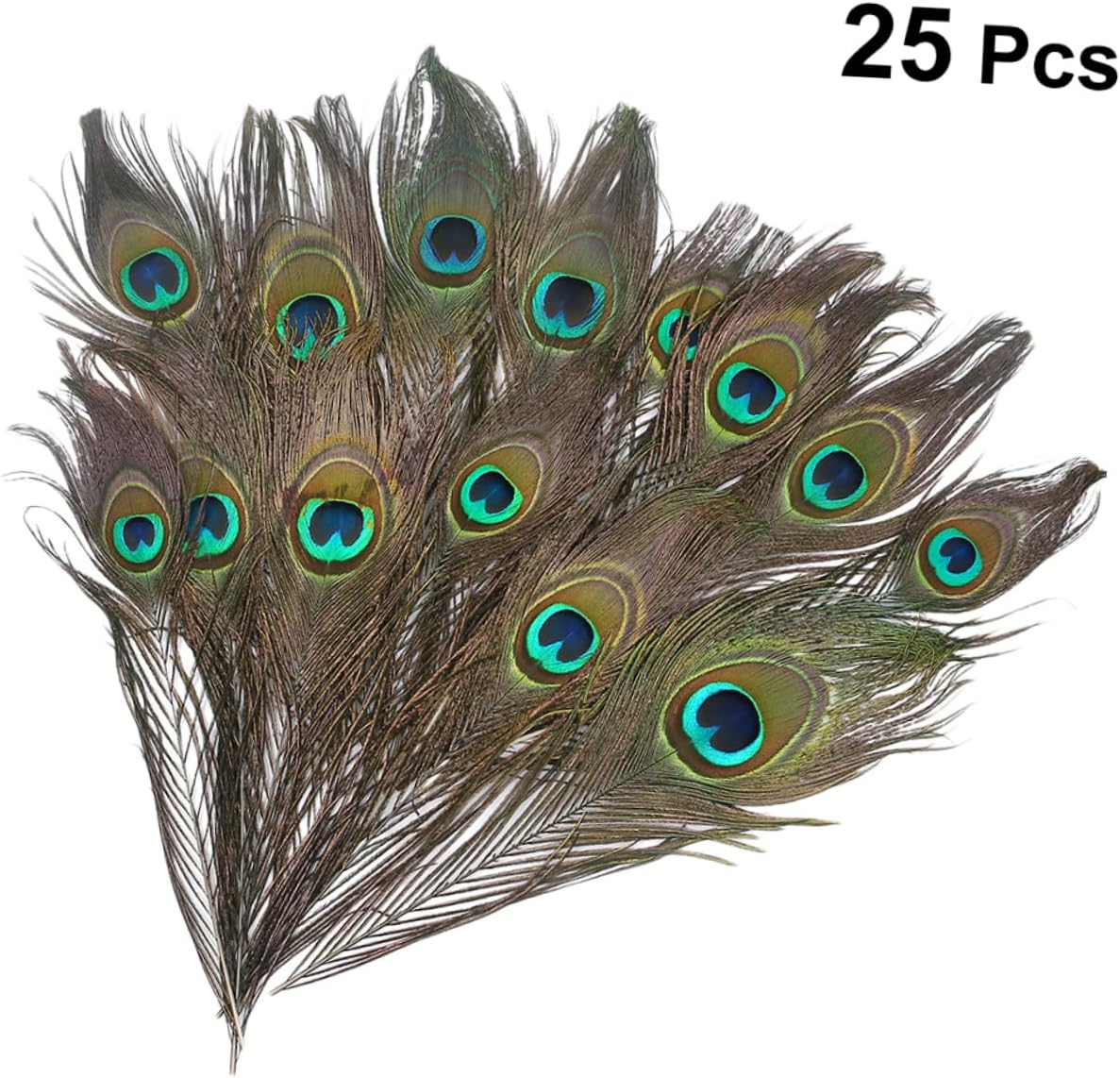 EXCEART 50 piezas de plumas naturales, plumas decorativas, plumas de cola de pavo real, arreglo floral