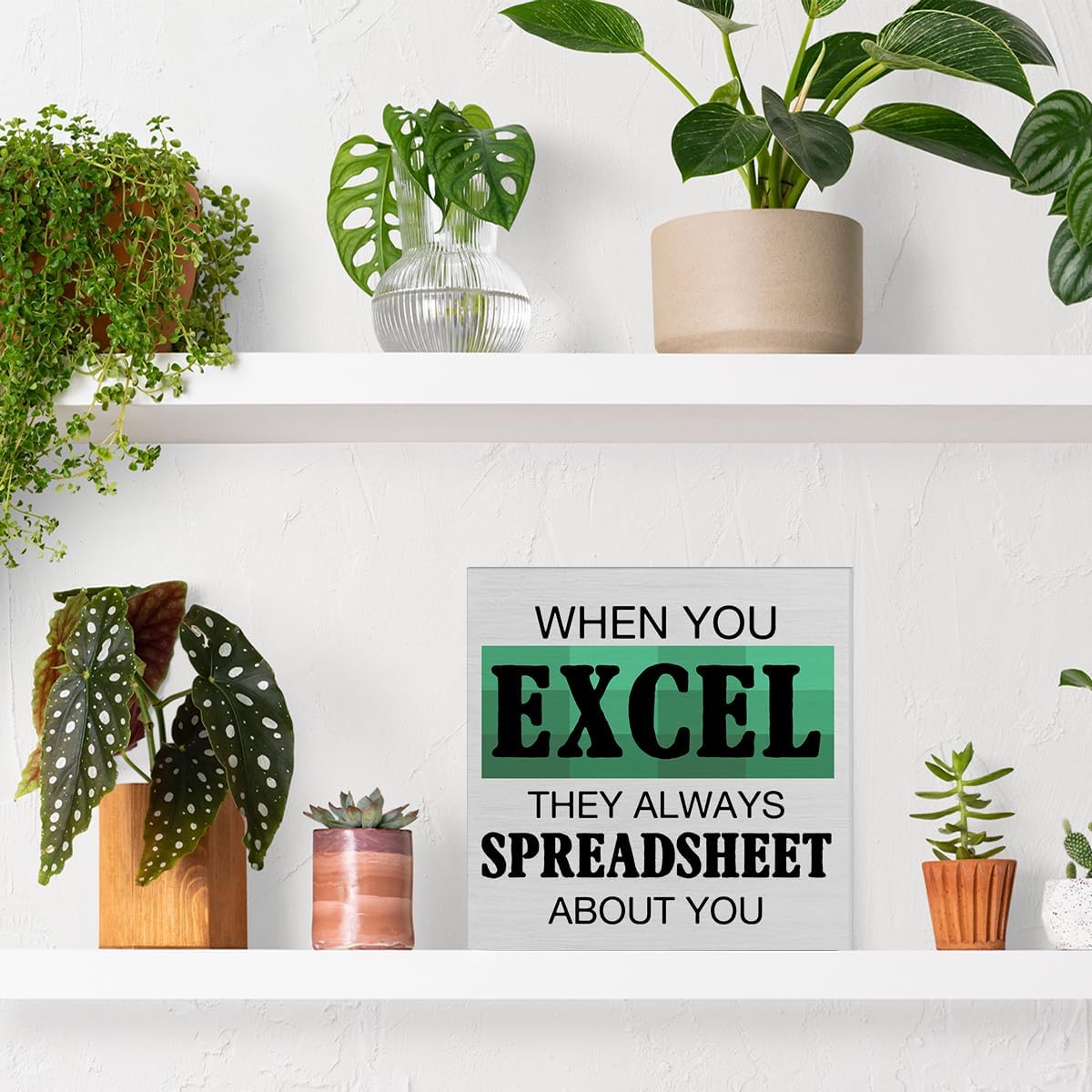 Cartel rústico de madera para regalo de contador, decoración de escritorio, con texto en inglés “When You Excel They Always Spreadshe”, letrero de