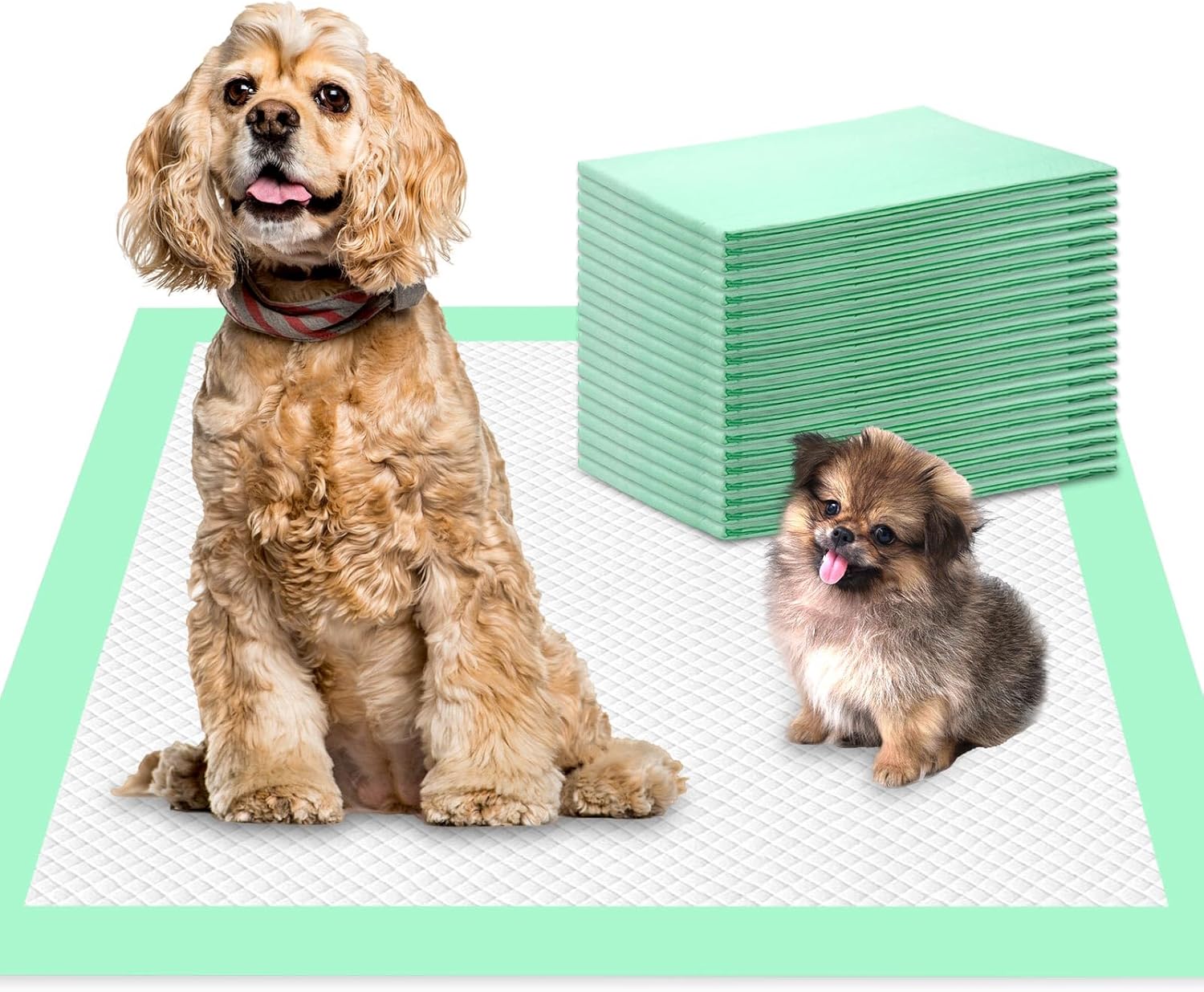 Snkcare Almohadillas para orina de cachorros de 24 x 36 pulgadas, 40 almohadillas desechables para orina de mascotas, súper absorbentes y a prueba
