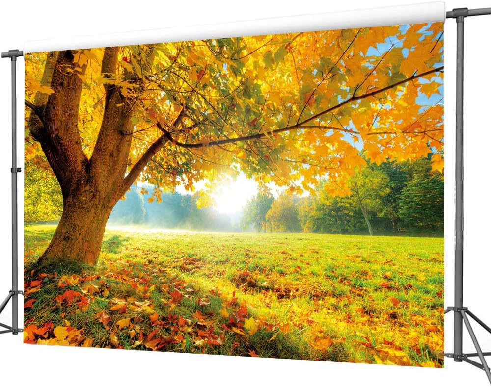 LYWYGG Fondo de fotografía de hoja caduca de arce dorado de otoño de 7x5FT Fondo de fotografía de otoño Telón de fondo de boda Telón de fondo de