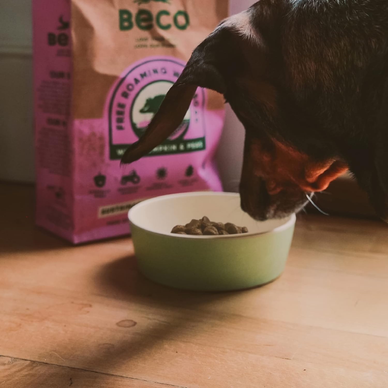 Beco Cuenco de bambú clásico impreso para comida y agua para perros, menta fresca inspirada en la naturaleza, grande