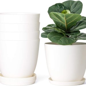 Mkono – Juego de 5 maceteros de plástico para interiores, decorativos y modernos para jardinería con orificio de drenaje y bandeja para todas las Mkono – Juego de 5 maceteros de plástico para interiores, decorativos y modernos para jardinería con orificio de drenaje y bandeja para todas las