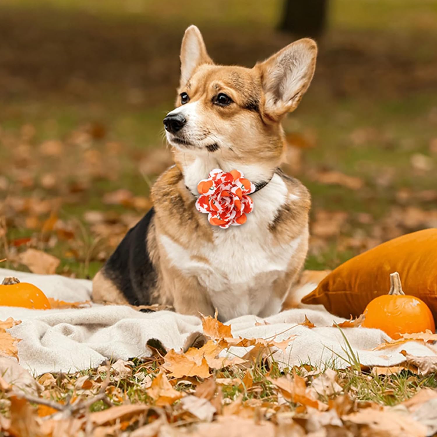 60 piezas de collar de otoño para perro, flores a granel, collar de flores de Acción de Gracias, corbatines, accesorios para perros de vacaciones,