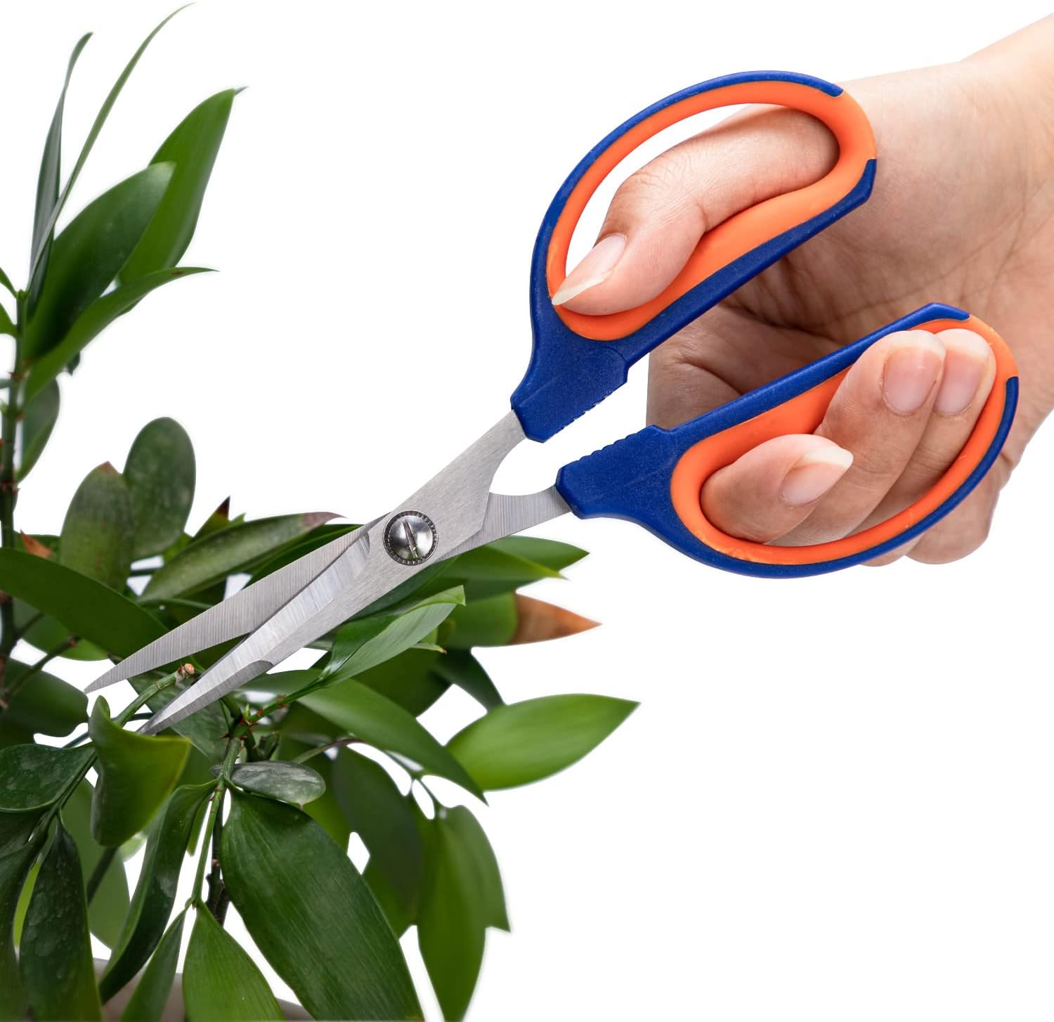 Tijeras de bonsái, cortadores de jardinería, tijeras afiladas para recortar plantas, tijeras de podar flores, herramientas de corte de rosas con