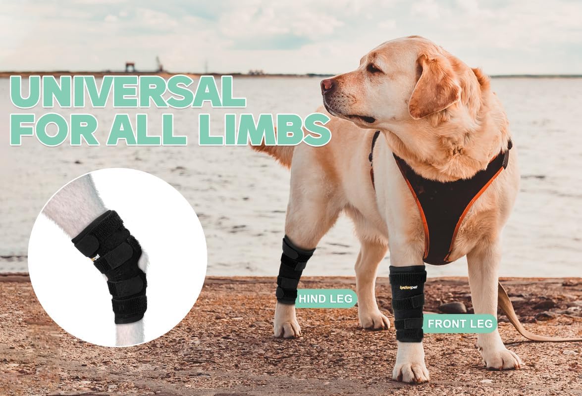 Lyderpet Soporte de pierna de perro para articulación trasera de corvejón, envoltura de compresión fuerte apoyo para pierna trasera para lesiones y