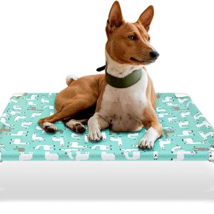 Modorki Cama elevada para perro para mascotas, tamaño mediano, material de nailon, fácil de limpiar, resistente y duradera, ideal para uso en Modorki Cama elevada para perro para mascotas, tamaño mediano, material de nailon, fácil de limpiar, resistente y duradera, ideal para uso en