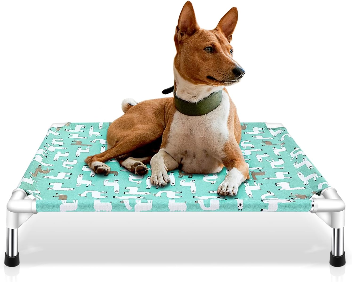 Modorki Cama elevada para perro para mascotas, tamaño mediano, material de nailon, fácil de limpiar, resistente y duradera, ideal para uso en