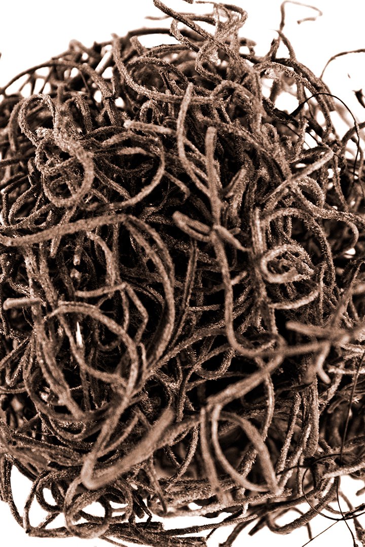 SuperMoss Musgo Español Conservado, Coffee