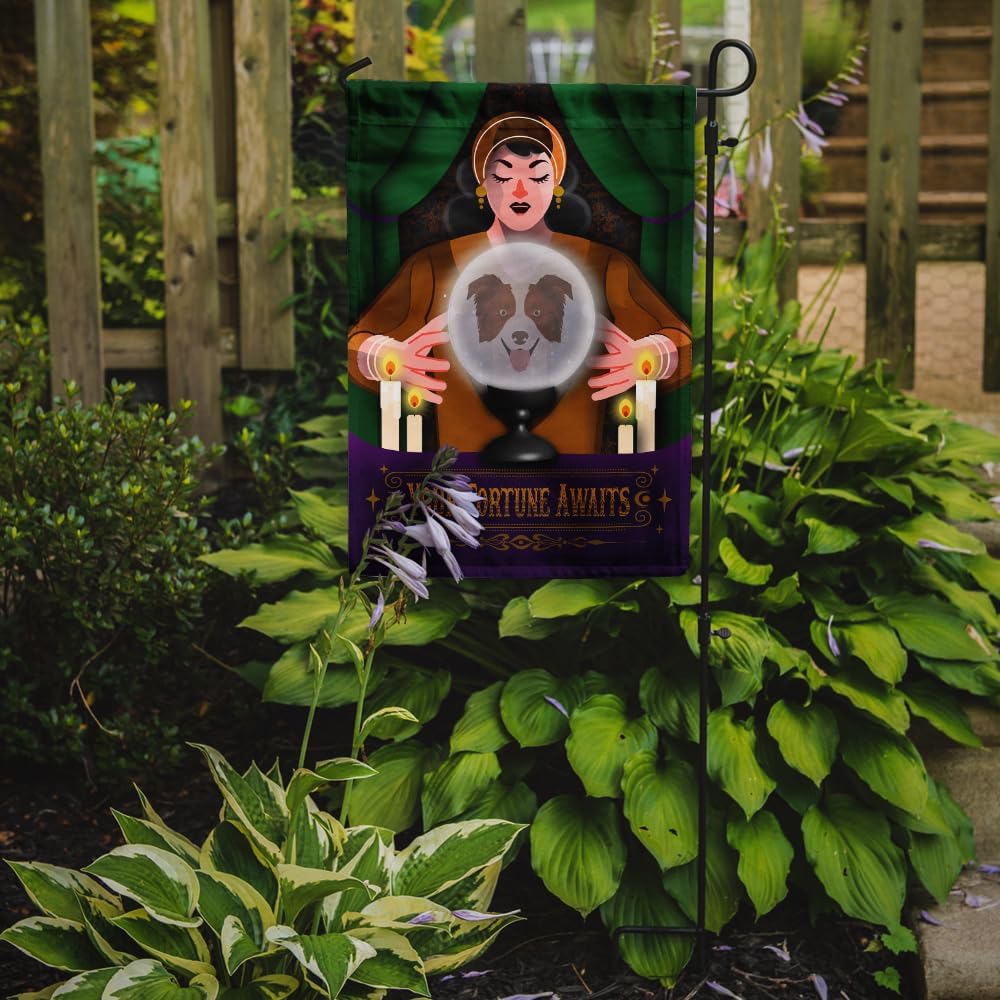 Caroline’s Treasures MLM1360GF Border Collie Halloween Garden Flag Mailbox Flag Decorative Yard Flag Banner Outside Patio Artwork Yard Flower Beds,