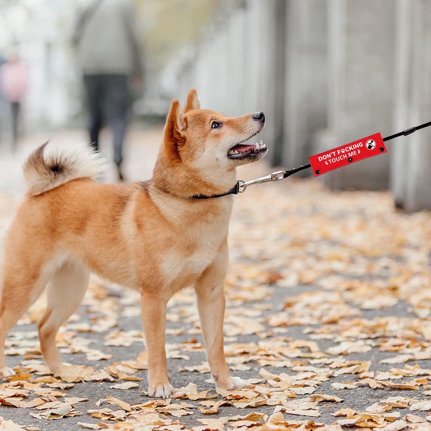 Advivio Don’t Touch Me – Funda roja para correa de perro, etiqueta de parche de identificación colgante para mascotas, perros y gatos, la mejor