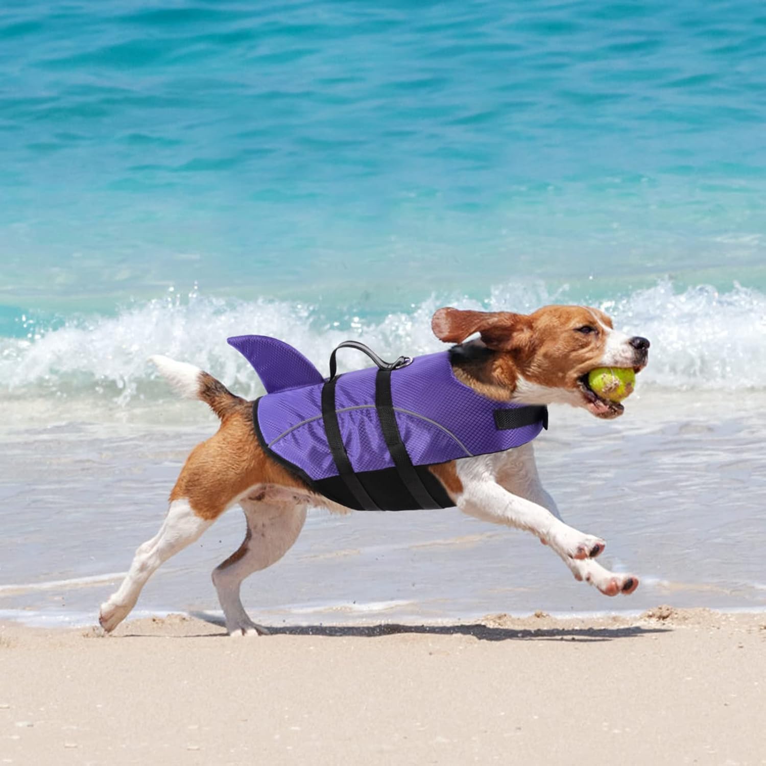 Queenmore Chaleco salvavidas para perros pequeños con diseño de tiburón, para natación, barco, kayak, alta flotabilidad, salvavidas para perros con