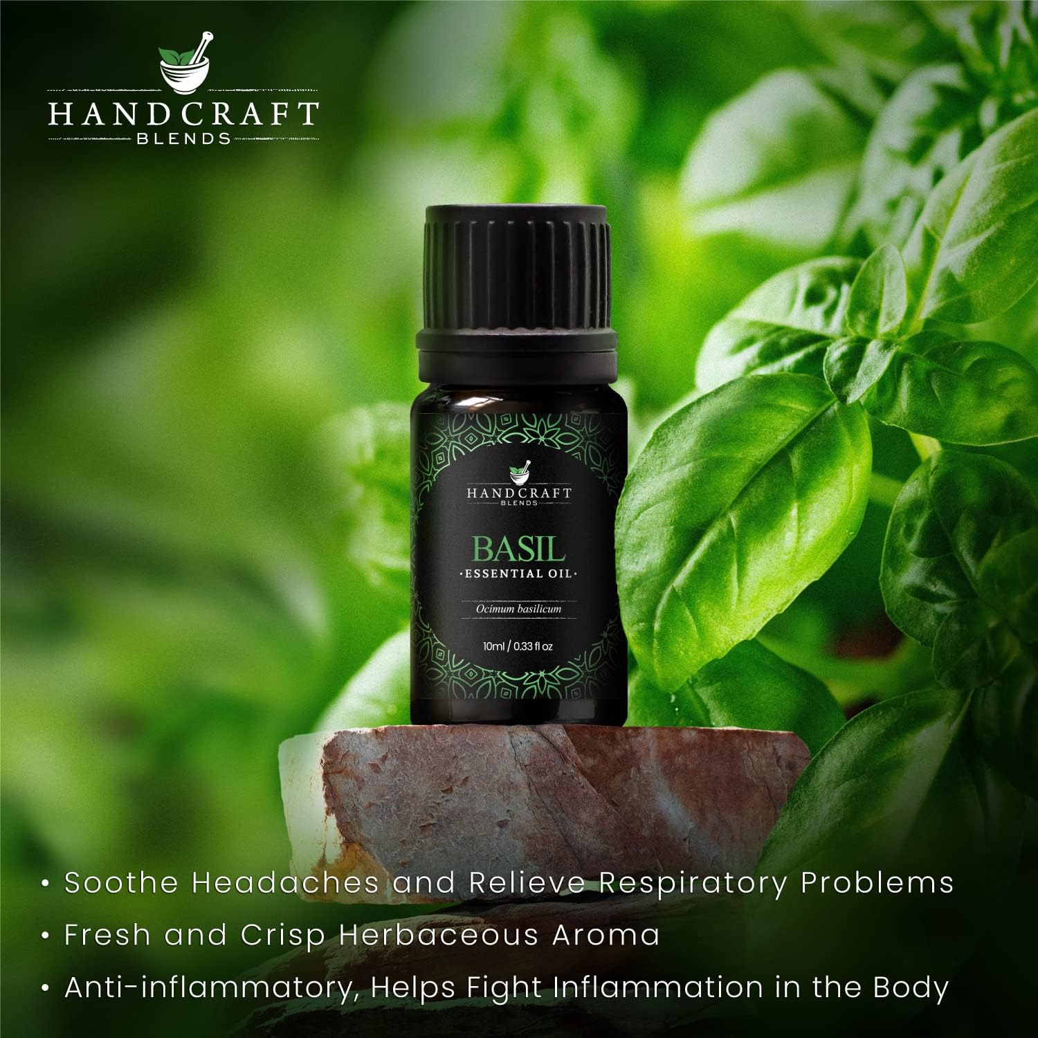Handcraft Blends – Aceite esencial de albahaca 100% puro y natural, aceite esencial de grado terapéutico de alta calidad para difusor y