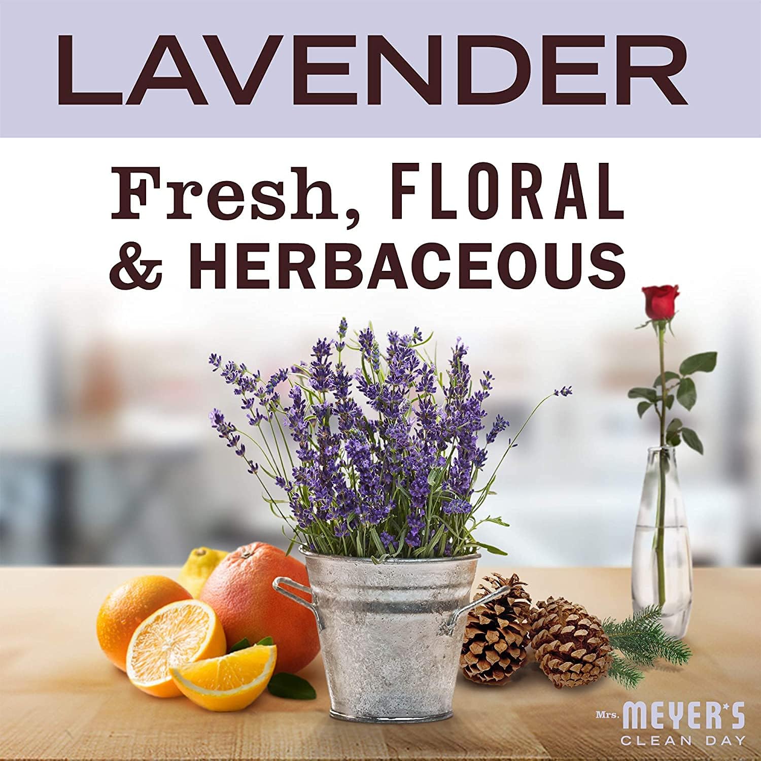 Mrs. Meyer’s – Paquete surtido de 1 detergente líquido para platos y 1 repuesto, aroma a lavanda, 48floz