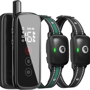 Collar eléctrico de entrenamiento para perros con un rango remoto de 1640 pies, recargable e impermeable, cuenta con 3 modos de entrenamiento y Collar eléctrico de entrenamiento para perros con un rango remoto de 1640 pies, recargable e impermeable, cuenta con 3 modos de entrenamiento y