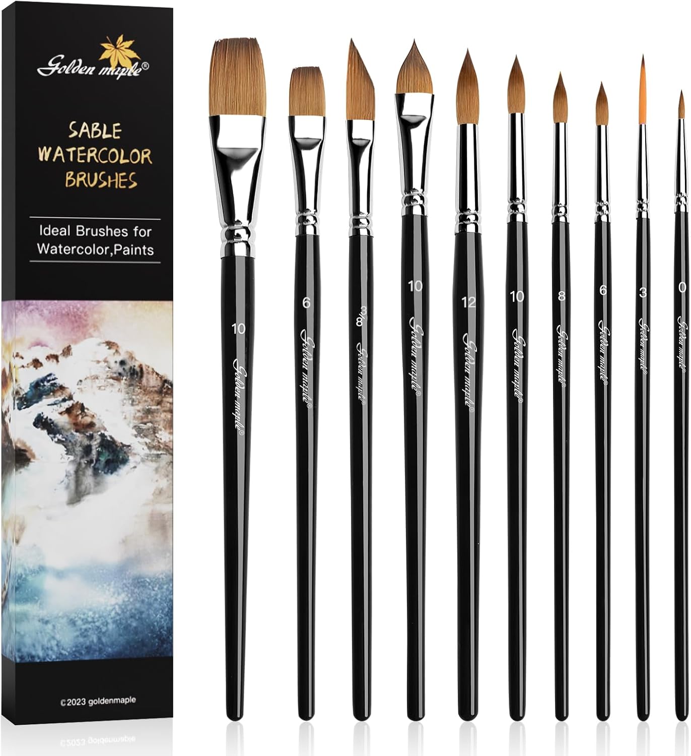 golden maple – Juego profesional de pinceles de acuarela, 10 pinceles de artista, pinceles de pintura de acuarela, pinceles de pintura de punta