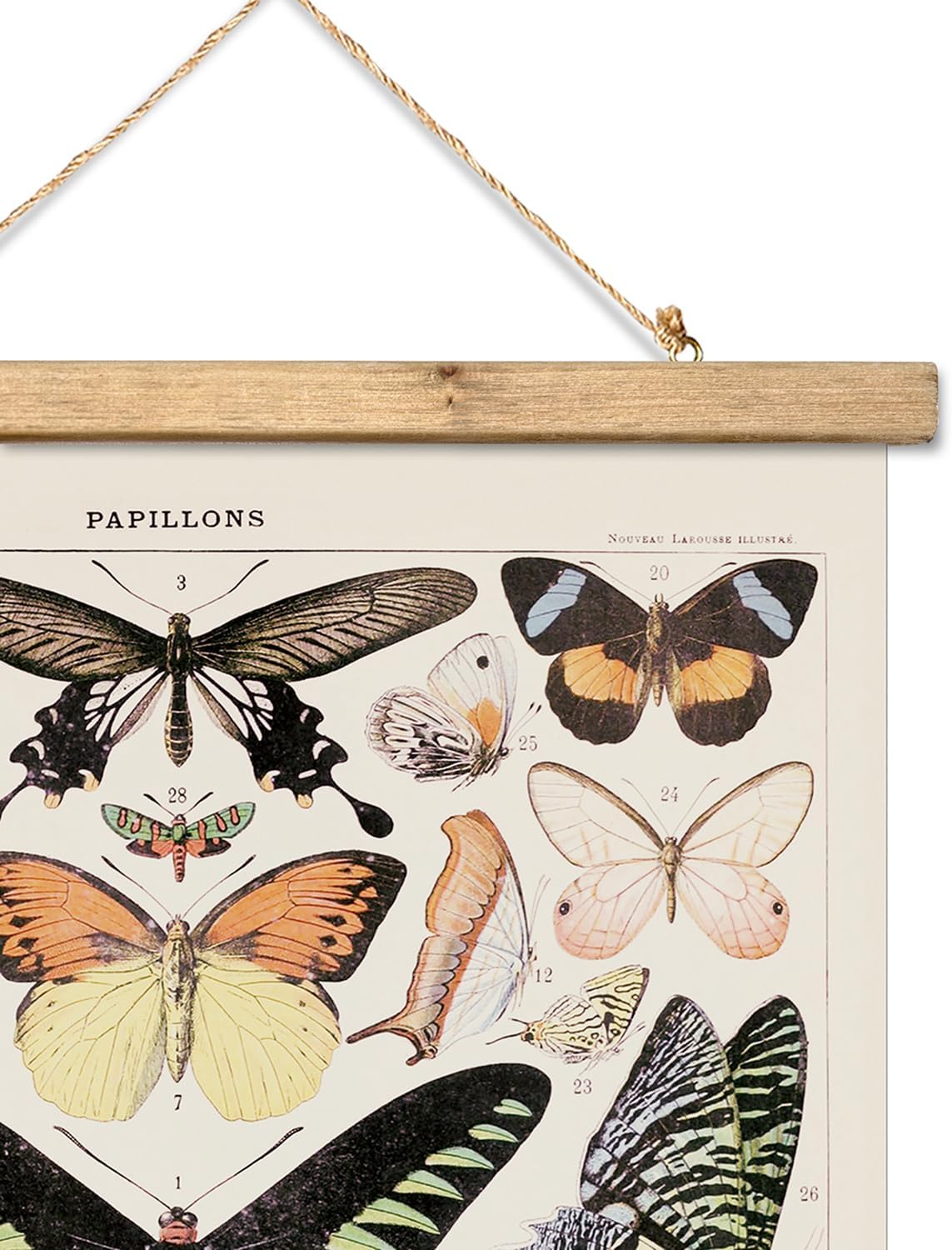 XIAOAIKA Póster colgante de mariposa vintage con marco de madera, pintura artística de decoración de pared de estilo retro, patrones impresos en