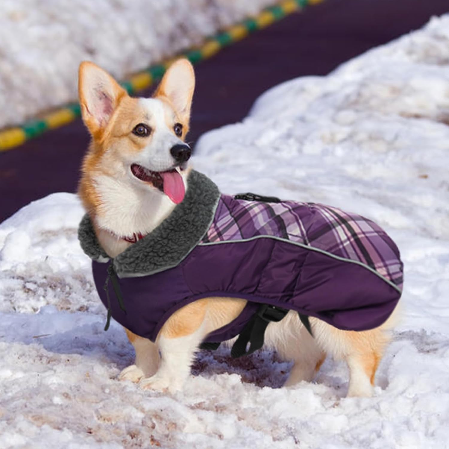 QBLEEV Abrigo de invierno para perro, abrigo cálido para perro, chaqueta reflectante para perros grandes, abrigo para clima frío, chaqueta