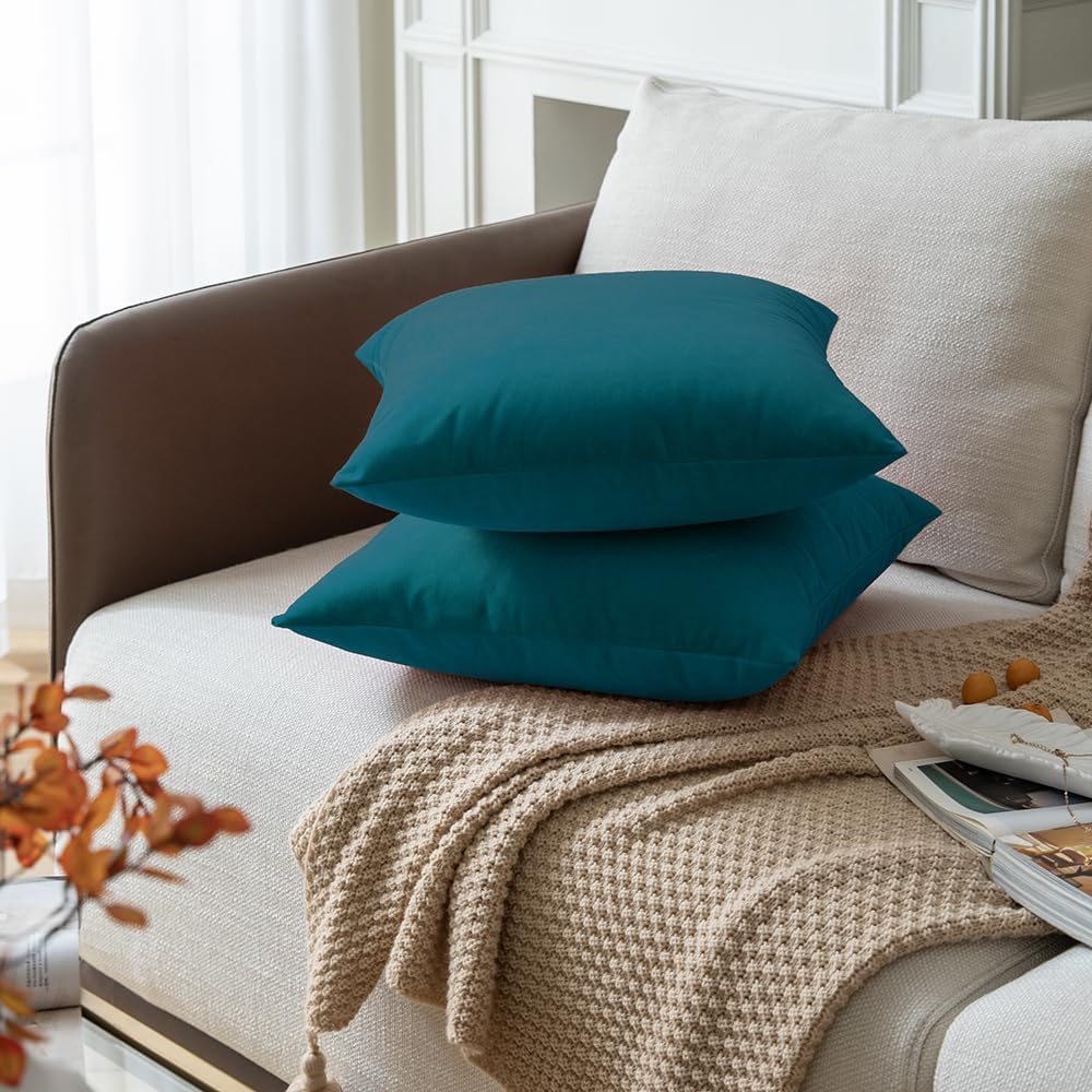 Rythome Juego de 2 fundas de almohada de terciopelo para sofá y cama, 18 x 18 pulgadas, color verde azulado