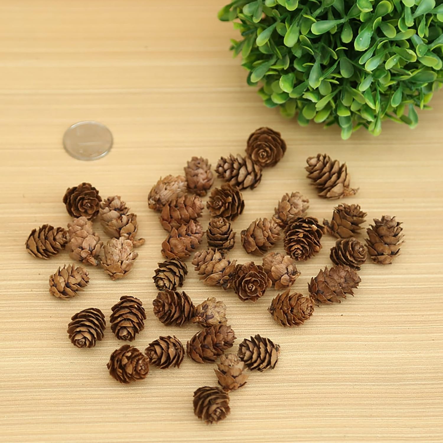 OSTTRPO Conos grandes de pino natural, piñas rústicas de Navidad a granel para manualidades y Navidad, Acción de Gracias, decoración de manualidades