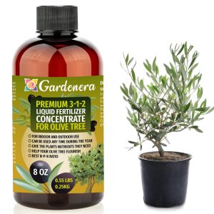 Gardenera – Fertilizante líquido prémium para plantas de olivo, concentrado 3-1-2 para plantas y flores de interior, alimento orgánico para olivos, Gardenera – Fertilizante líquido prémium para plantas de olivo, concentrado 3-1-2 para plantas y flores de interior, alimento orgánico para olivos,