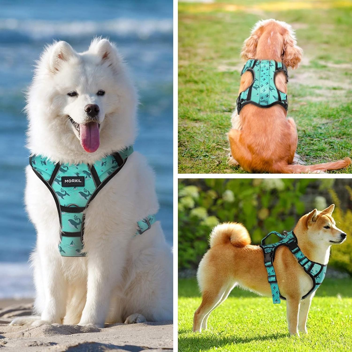 Arnés sin tirones para perros pequeños, medianos y grandes, juego de arnés reflectante y correa para perro, ajustable sin estrangulamiento y clip
