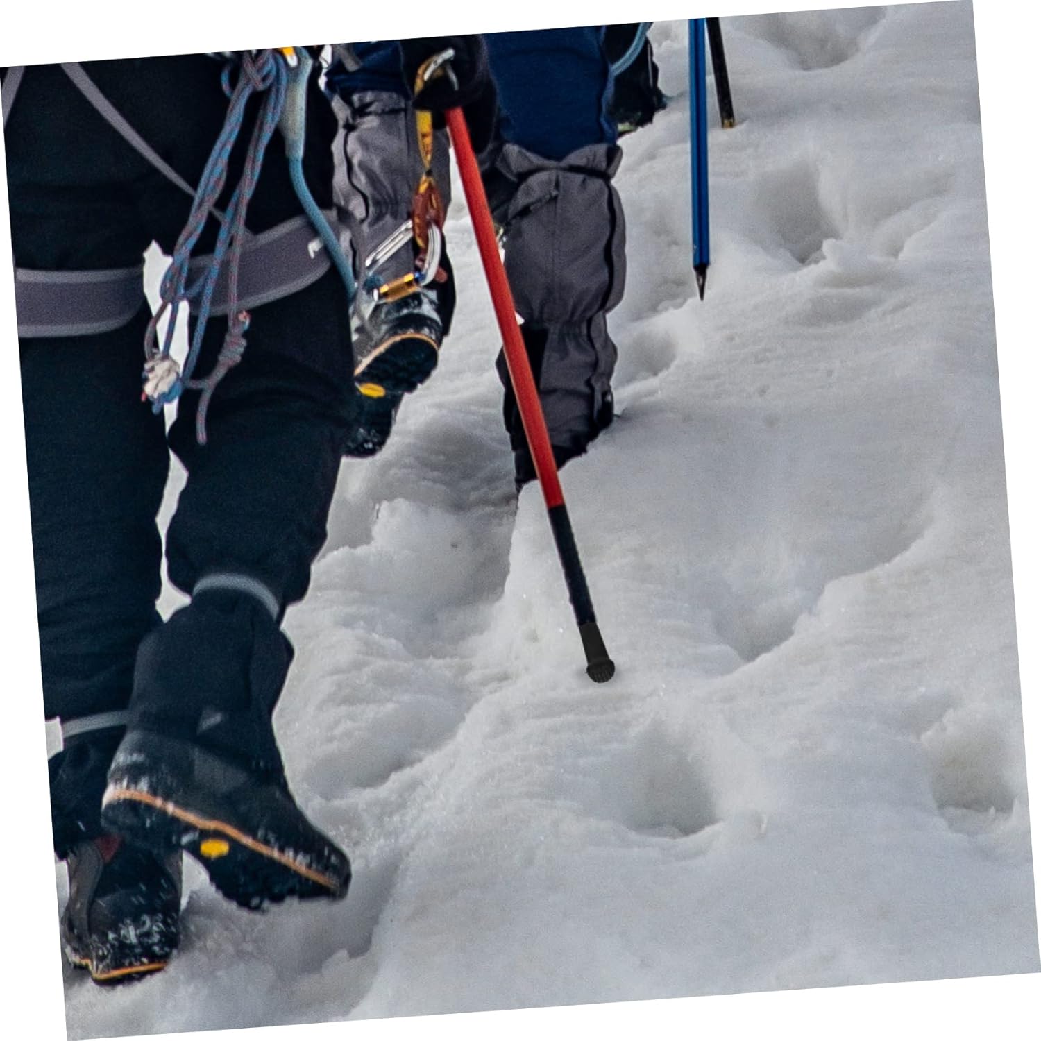 Didiseaon Juego de 8 puntas de bastón de trekking, accesorios de viaje, pelotas de tenis de caña de senderismo para caminantes, bastón de senderismo