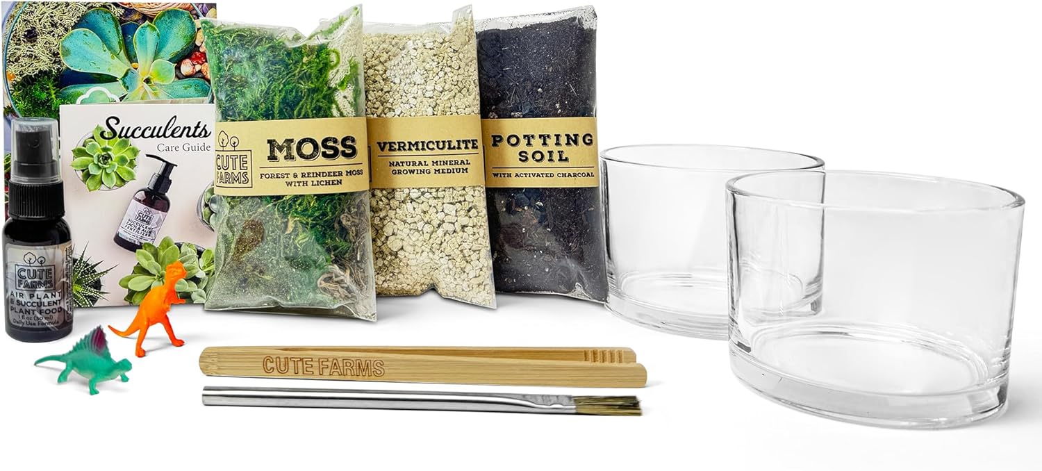 Cute Farms Kit de terrario de vidrio  Solo tienes que añadir tus propias plantas (dos cilindros de vidrio (3.25 pulgadas)