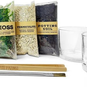 Cute Farms Kit de terrario de vidrio  Solo tienes que añadir tus propias plantas (dos cilindros de vidrio (3.25 pulgadas) Cute Farms Kit de terrario de vidrio  Solo tienes que añadir tus propias plantas (dos cilindros de vidrio (3.25 pulgadas)