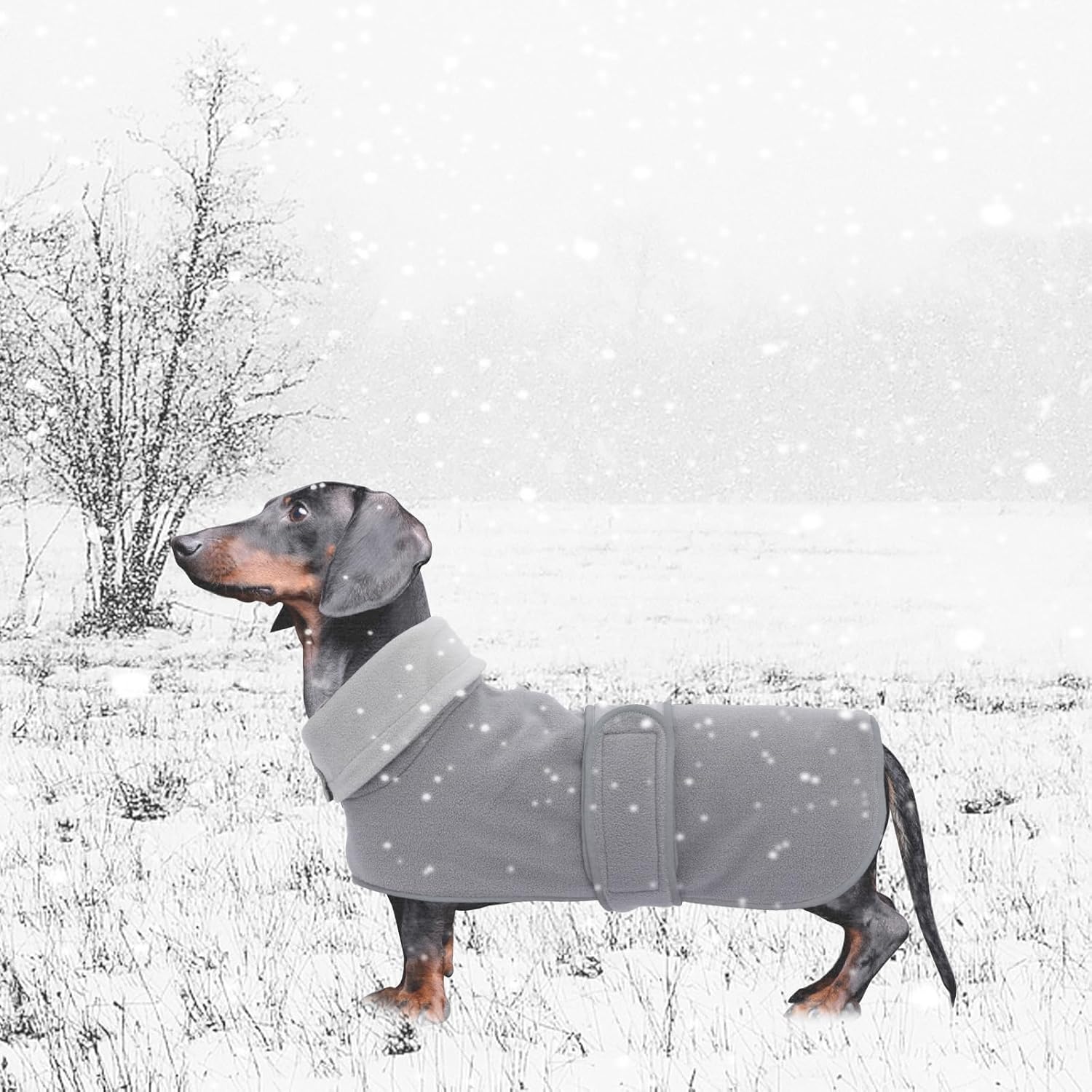 Geyecete – Chaqueta para perro, ideal para perros salchichas con forro de felpa acolchado y cuello alto, traje de nieve para perro con bandas