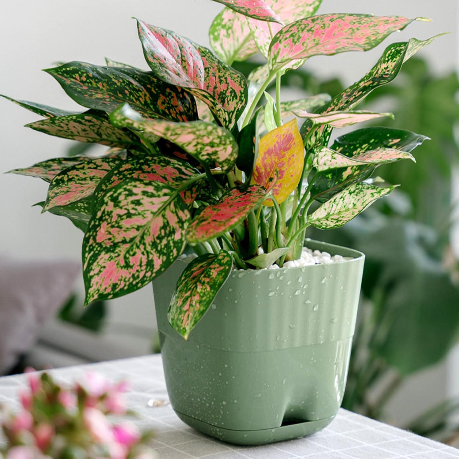 Macetas de plástico con múltiples agujeros y bandejas, macetas para plantas de interior y exterior, flores, suculentas, decoración moderna para el